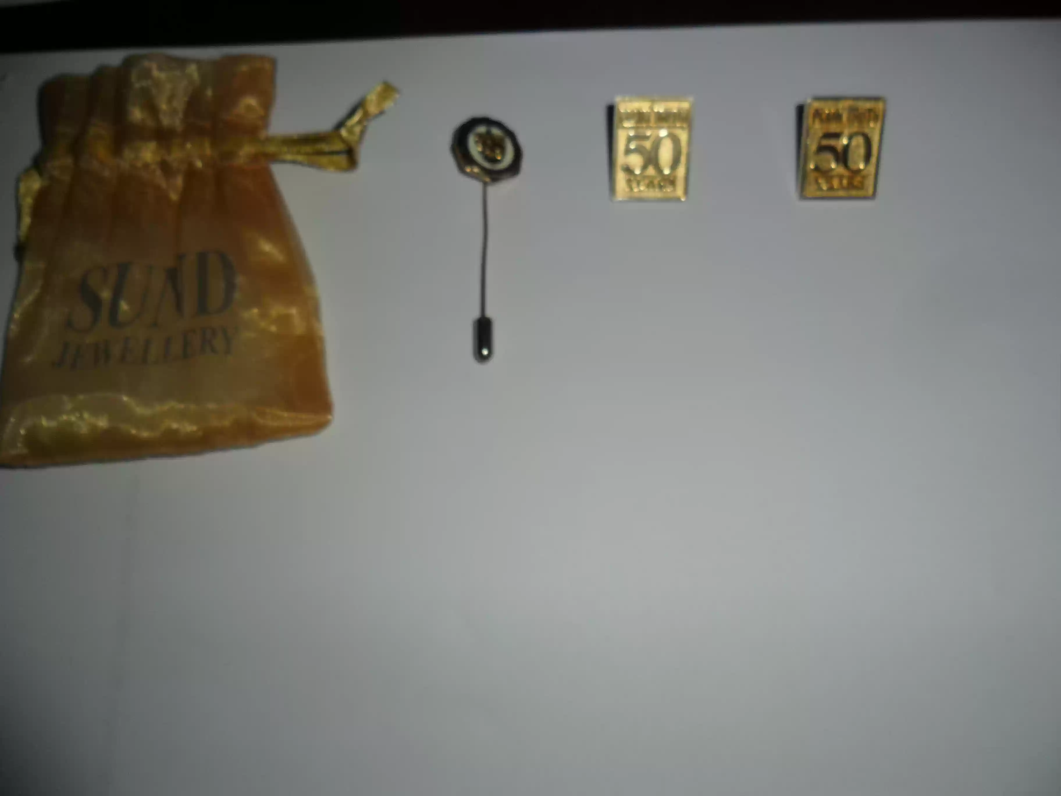 Pins & clips2